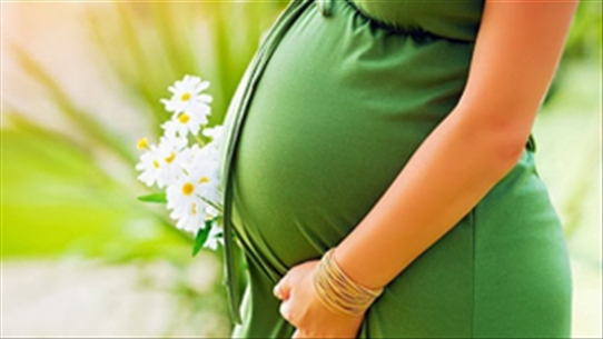 Thai giáo bằng khứu giác cho thai nhi như thế nào?