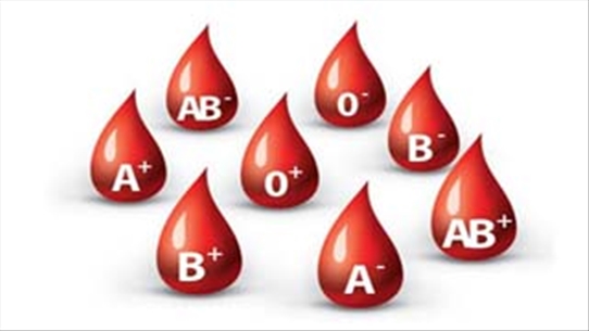 Mách nhỏ những điều quan trọng cần biết về nhóm máu B-