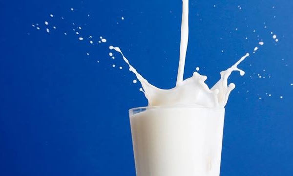 Cách phân biệt các loại sữa tươi hay dùng không thể bỏ qua