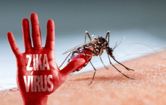 Cách nhận biết và phòng chống virus Zika không thể bỏ qua