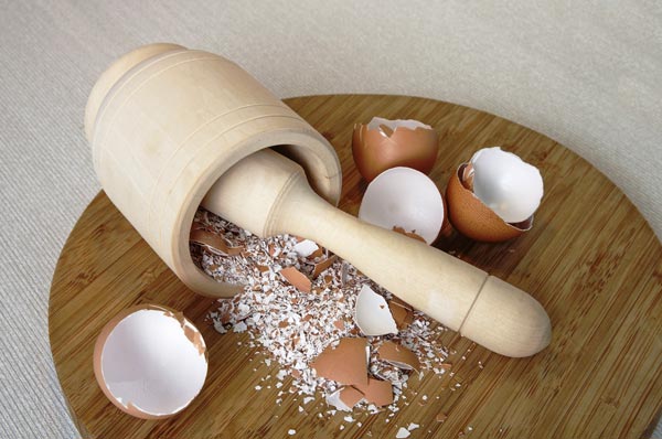Băng gạc làm từ vỏ trứng, bạn có tin được không?