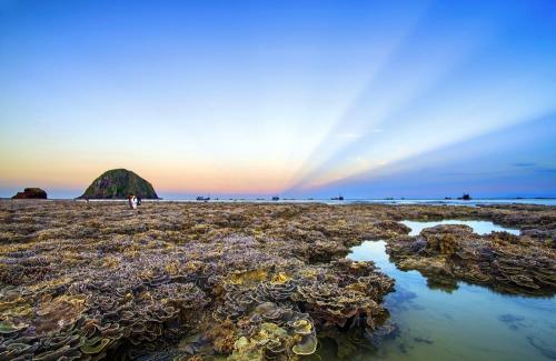 Thổ địa Phú Yên mách bạn hè này đừng bỏ qua vẻ đẹp lung linh của rạn san hô cạn Hòn Yến