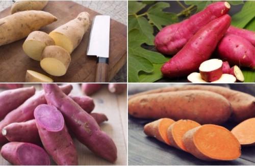 Khoai tây và khoai lang loại nào dinh dưỡng hơn?