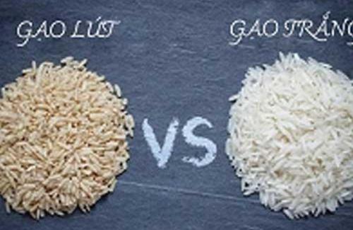 Gạo lứt và gạo trắng: Loại nào tốt hơn cho cơ thể?