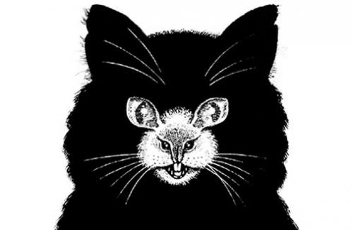 Trắc nghiệm: Bạn nhìn thấy con mèo hay con chuột? Câu trả lời sẽ tiết lộ bí mật về con người bạn