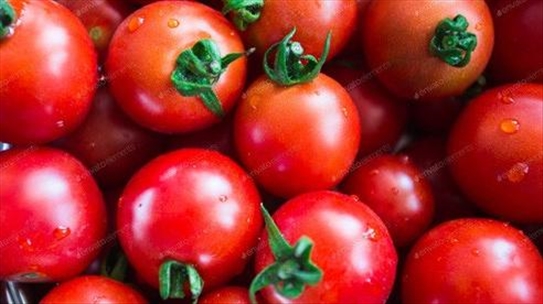 Cà chua là trái cây hay rau? Câu hỏi tưởng đơn giản nhưng hành trình tìm đáp án lại phức tạp đến không ngờ