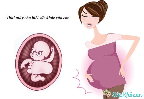 Hiện tượng thai máy cho thấy sự phát triển của thai nhi trong bụng mẹ