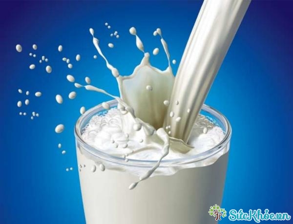 Sữa là thực phẩm nhiều dưỡng chất nhất