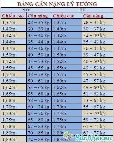chiều cao cân nặng chuẩn theo chỉ số BMI
