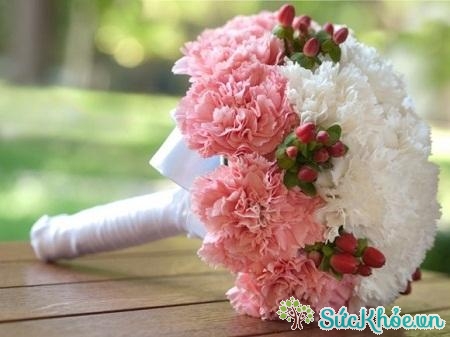 Một bó hoa cẩm chướng xen lẫn màu hồng và trắng để cảm ơn người con gái đã làm vợ, làm mẹ những đứa con của bạn 