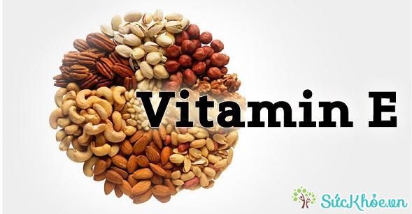 Vitamin E có nhiều trong các loại hạt