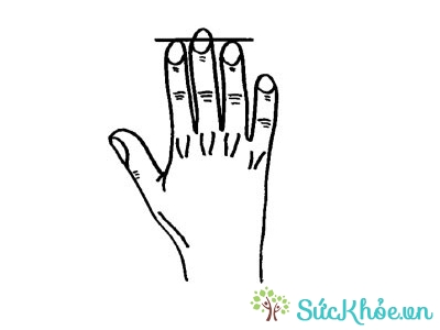 Bói tay cho thấy ngón tay tiết lộ tính cách bạn là người hiền lành, yêu hòa bình