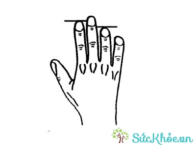 Bói tay cho thấy ngón tay tiết lộ tính cách bạn là người tự tin, mạnh mẽ và nhiều tham vọng