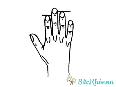 Bói tay cho thấy ngón tay tiết lộ tính cách bạn là người khá lạc quan, vui vẻ