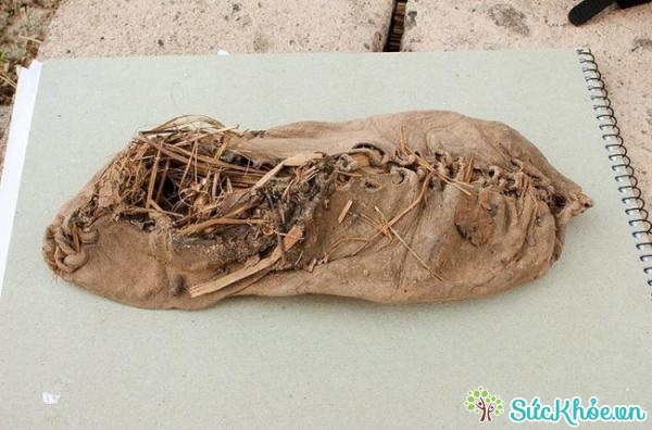Chiếc giày này đã được 5.500 năm tuổi và còn khá nguyên vẹn