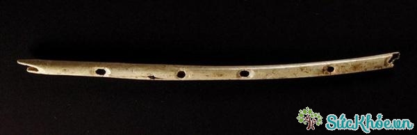 Chiếc sáo này có những 40.000 năm tuôi