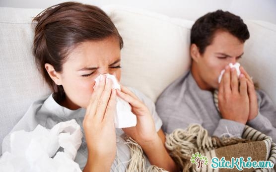 Cảm cúm là bệnh mùa lạnh thường gặp nhất