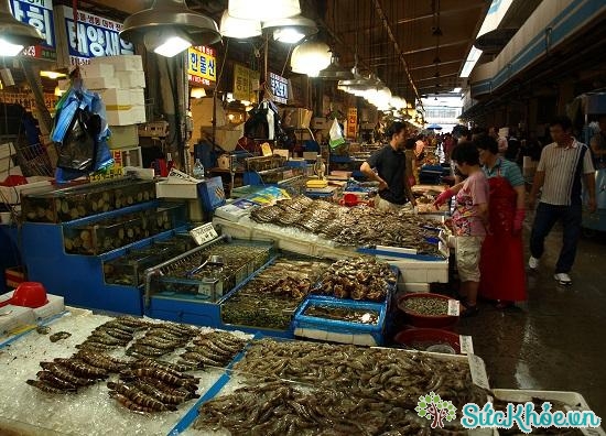 Chợ hải sản Noryangjin, Seoul, Hàn Quốc