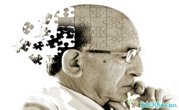 Người bệnh Alzheimer có xu hướng quên tăng dần và liên tục