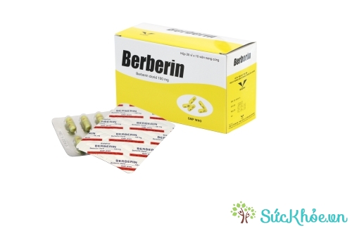 Berberin 100mg có tác dụng điều trị hội chứng lỵ hiệu quả