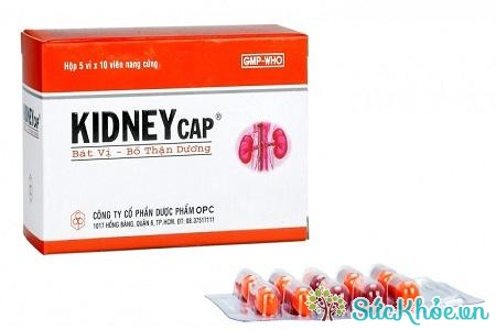 Kidneycap là dùng cho người thận dương yếu