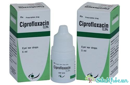 Ciprofloxacin 0,3% có tác dụng trị các nhiễm khuẩn về mắt do các chủng nhạy cảm
