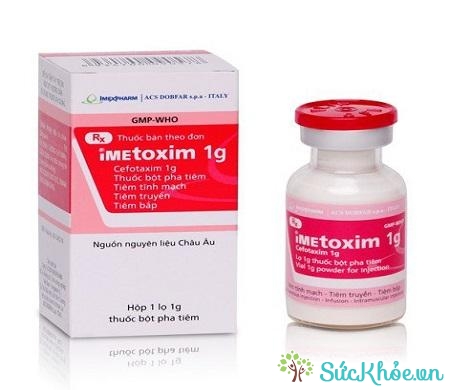Imetoxim 1g là thuốc điều trị các bệnh nhiễm khuẩn nặng ở dạng tiêm