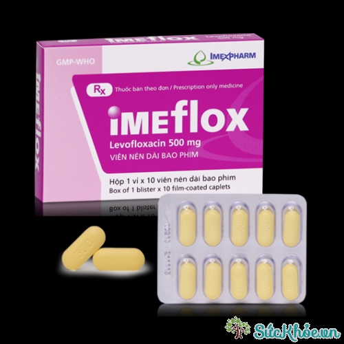 Thuốc Imeflox điều trị nhiễm khuẩn do các vi khuẩn nhạy cảm với levofloxacin