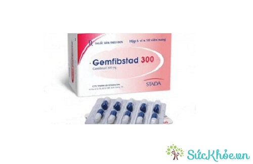 Thuốc Gemfibstad 300 điều trị tăng lipid huyết động hợp tử