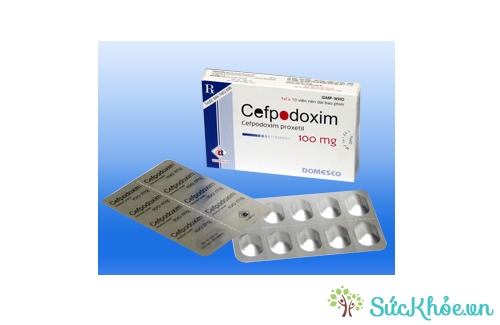Cefpodoxim 100mg có tác dụng điều trị nhiễm khuẩn nhẹ ở đường hô hấp hiệu quả