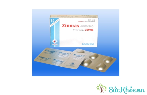 Zinmax - Domesco 250mg được chỉ định cho người nhiễm khuẩn đường hô hấp dưới hiệu quả
