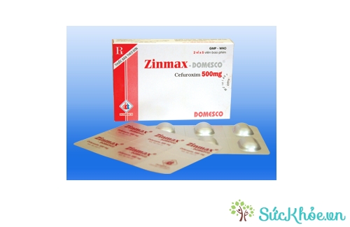 Zinmax - Domesco 500mg có tác dụng điều trị bệnh Lyme thời kỳ đầu