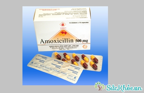 Amoxicillin 500mg (nâu - vàng) có tác dụng trị các bệnh nhiễm khuẩn hô hấp, tai, mũi, họng