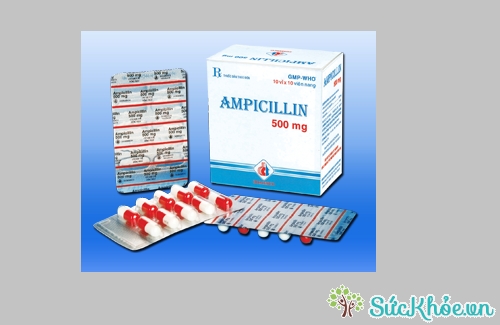 Ampicillin 500mg (đỏ - trắng) được sử dụng để điều trị các nhiễm khuẩn Gram dương và Gram âm