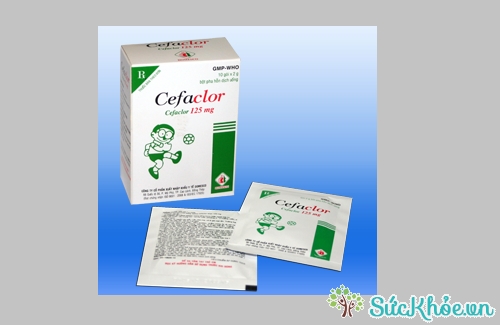 Cefaclor 125mg được chỉ định cho những trường hợp nhiễm khuẩn đường hô hấp trên và hô hấp dưới mức độ nhẹ và vừa