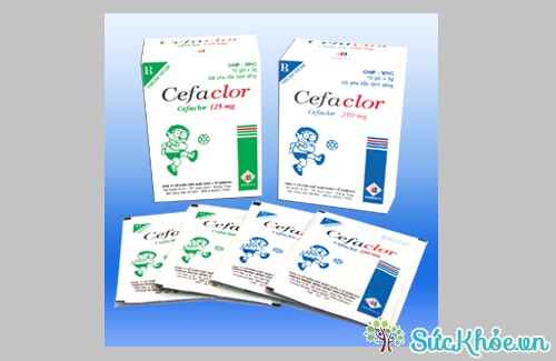 Cefaclor 250mg được chỉ định cho người nhiễm khuẩn đường hô hấp trên và hô hấp dưới mức độ nhẹ và vừa