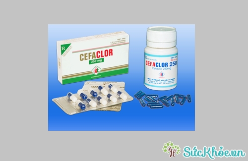 Cefaclor 250mg (xanh - xanh) được chỉ định cho người viêm tai giữa cấp, viêm xoang cấp