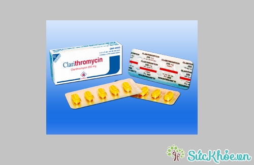 Clarithromycin 250mg được chỉ định thay thế cho penicillin ở người bị dị ứng với penicillin khi bị nhiễm vi khuẩn nhạy cảm