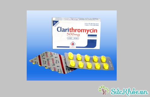 Clarithromycin 500mg và một số thông tin cơ bản
