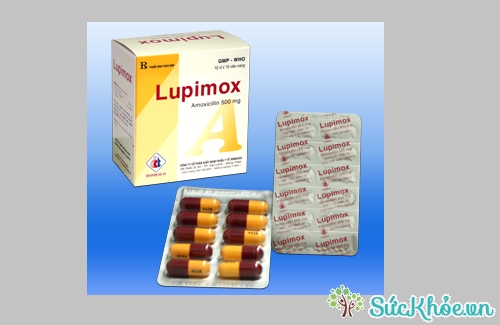 Lupimox được chỉ định trường hợp nhiễm trùng do vi khuẩn nhạy cảm như nhiễm khuẩn đường hô hấp trên, đường hô hấp dưới, bệnh lậu,...