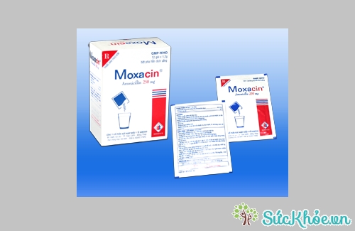 Moxacin 250mg được chỉ định trong trường hợp nhiễm trùng do vi khuẩn nhạy cảm