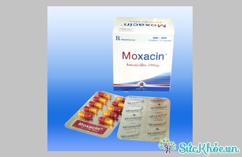 Moxacin 500mg (nâu - vàng) được chỉ định trong các trường hợp nhiễm trùng do vi khuẩn nhạy cảm