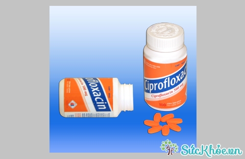 Ciprofloxacin 500mg có tác dụng điều trị viêm đường tiết niệu 