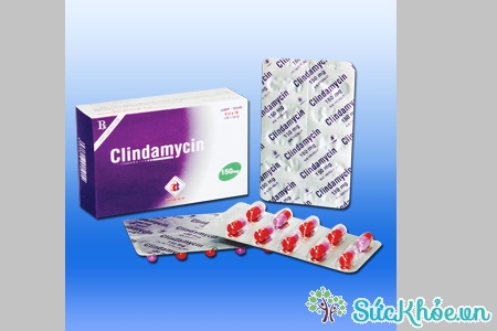 Clindamycin 150mg và một số thông tin cơ bản