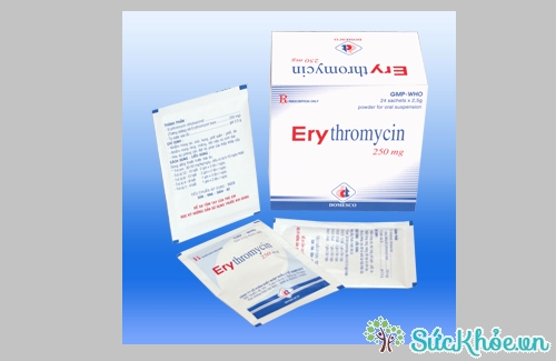Erythromycin 250mg và một số thông tin cơ bản