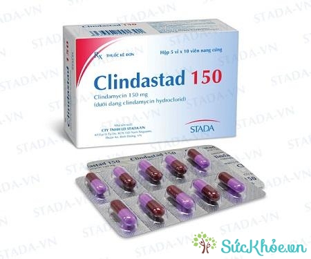 Clindastad 150 là thuốc điều trị nhiễm vi khuẩn kỵ khí nặng