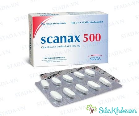 Scanax 500 là thuốc điều trị nhiễm trùng