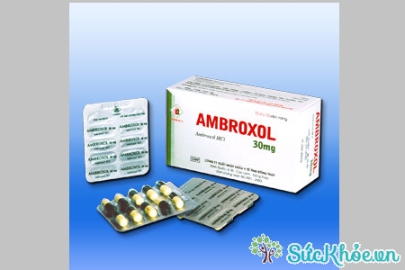Ambroxol 30mg và một số thông tin cơ bản