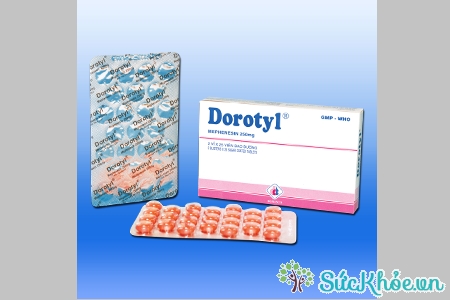Dorotyl và một số thông tin cơ bản