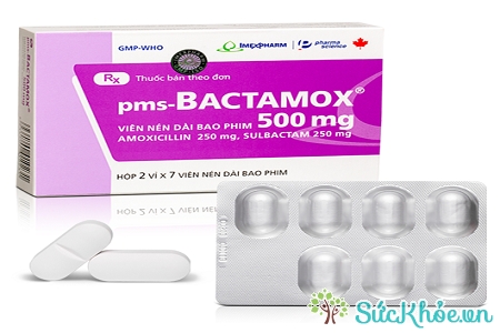 pms-Bactamox 500mg là thuốc điều trị nhiễm khuẩn do vi khuẩn nhạy cảm